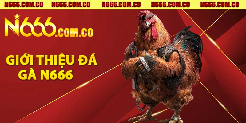 Giới thiệu Đá Gà N666