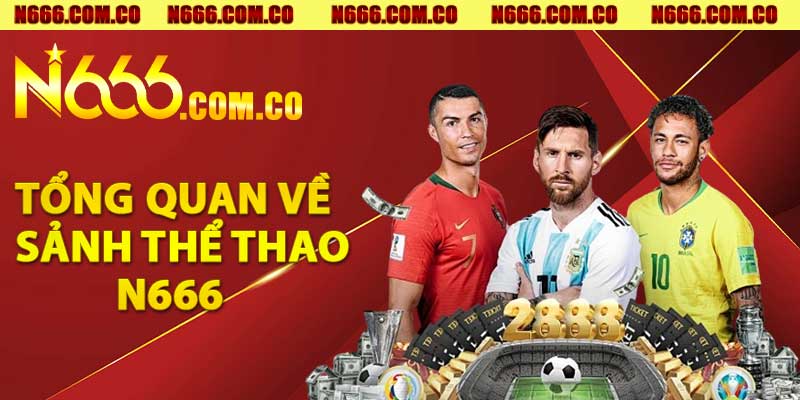 Tổng Quan Về Sảnh Thể Thao N666